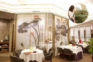 福田霸王龙主题mall一岁生日宴，购物新天地盛大开启